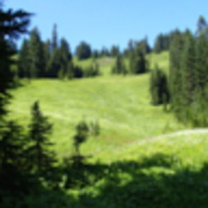 Meet your Posher, Bret